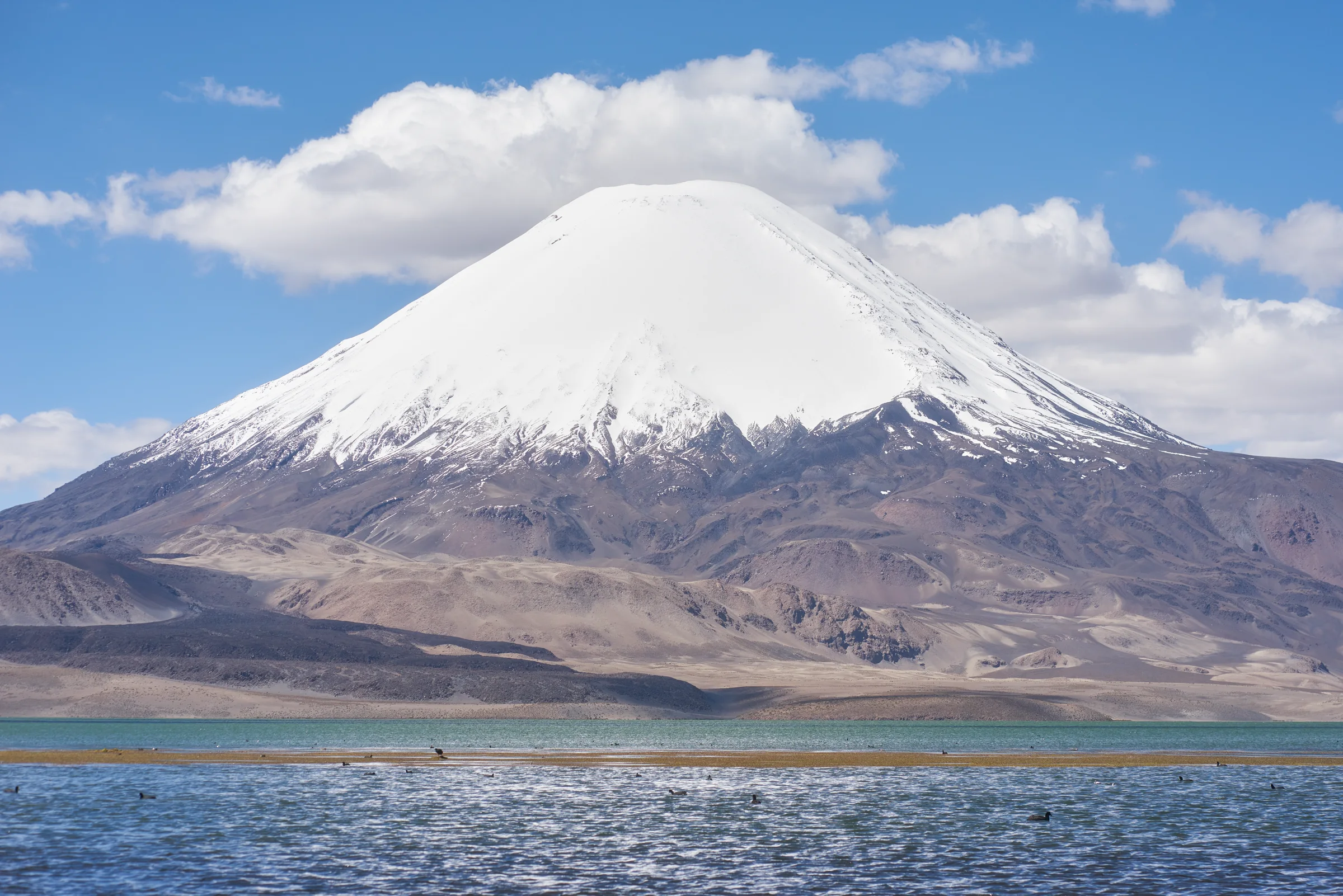 Volcán nevado sobre laguna altiplánica y cordillera