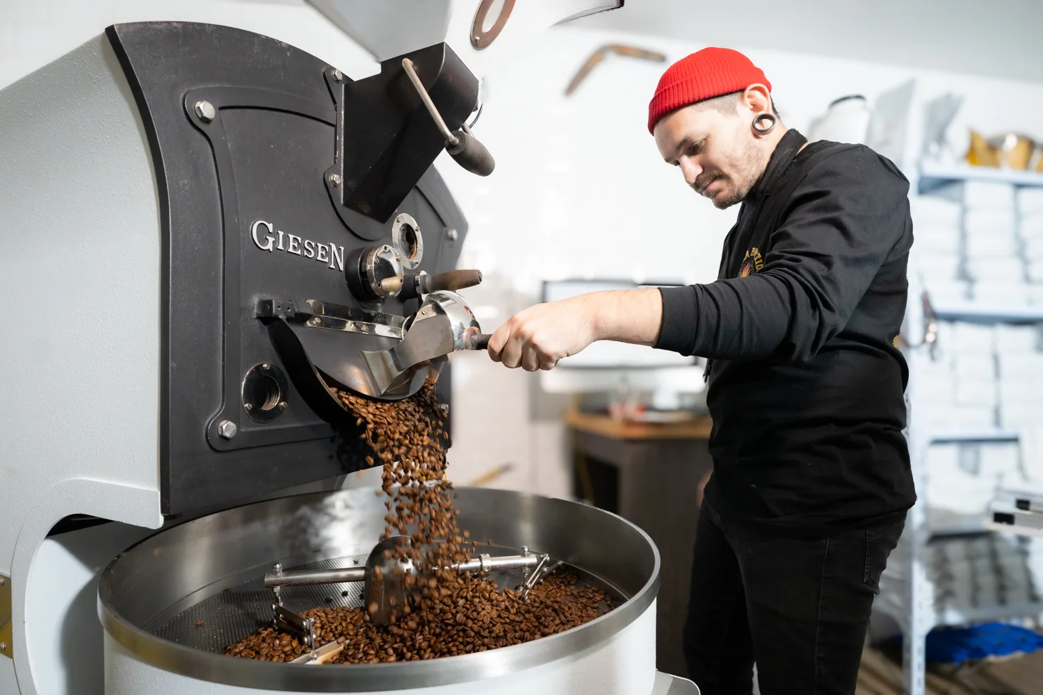 Tostador de café inspeccionando granos saliendo de máquina tostadora